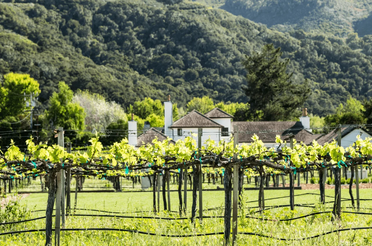 Carmel Valley, CA